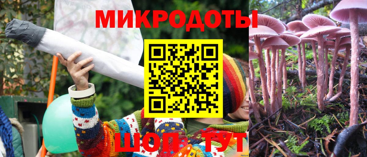Галлюциногенные грибы Psilocybe Лесной