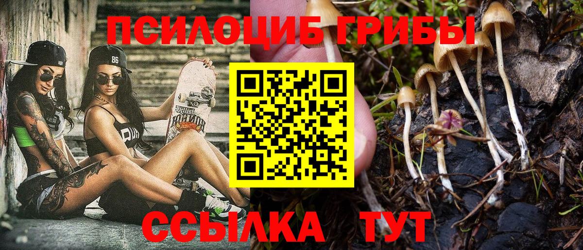Лесной  Псилоцибиновые грибы GOLDEN TEACHER  где найти наркотики  Вход с VPN  Галлюциногенные грибы MAGIC MUSHROOMS 